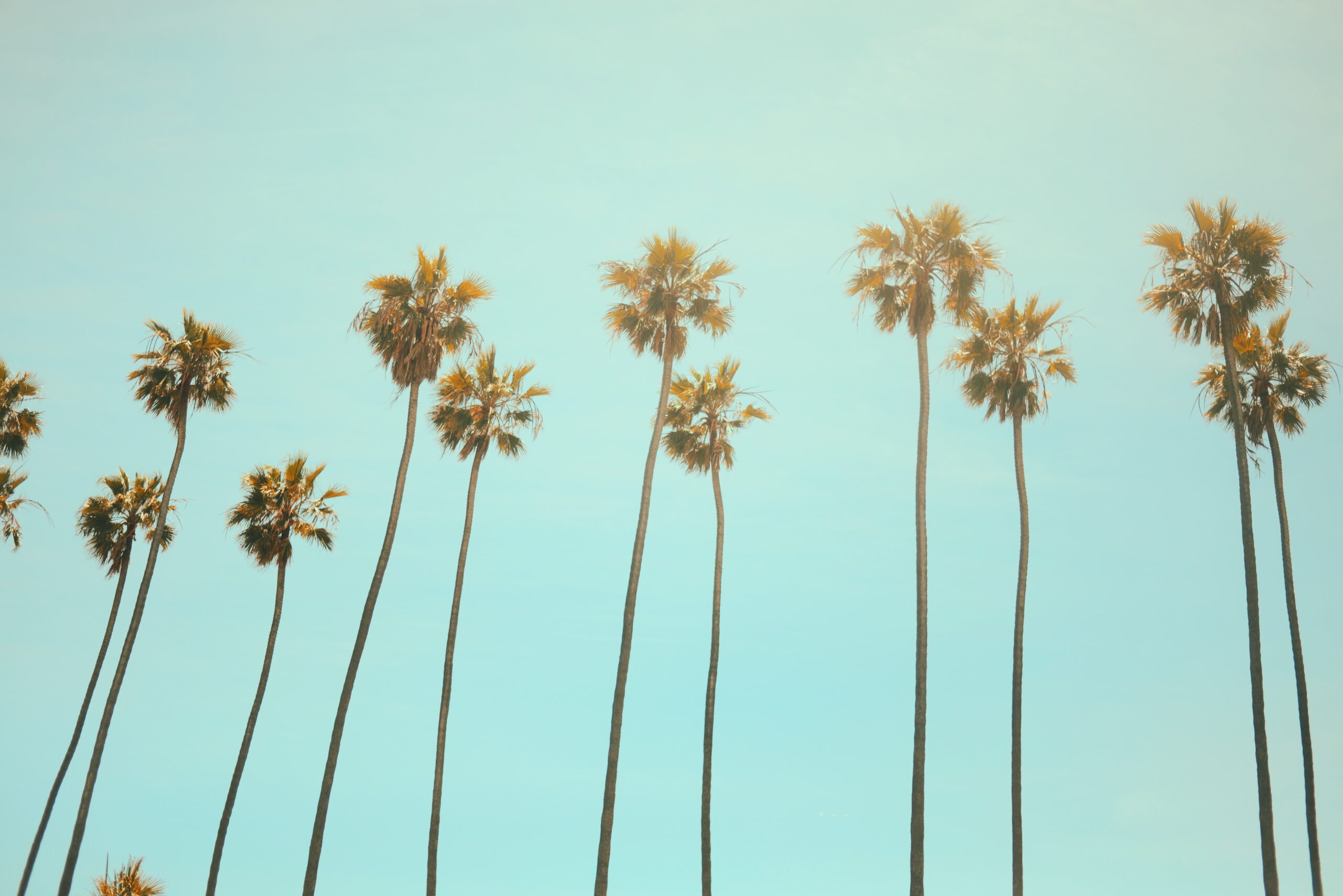 Best Weight Loss Clinic Center Elk Grove California
