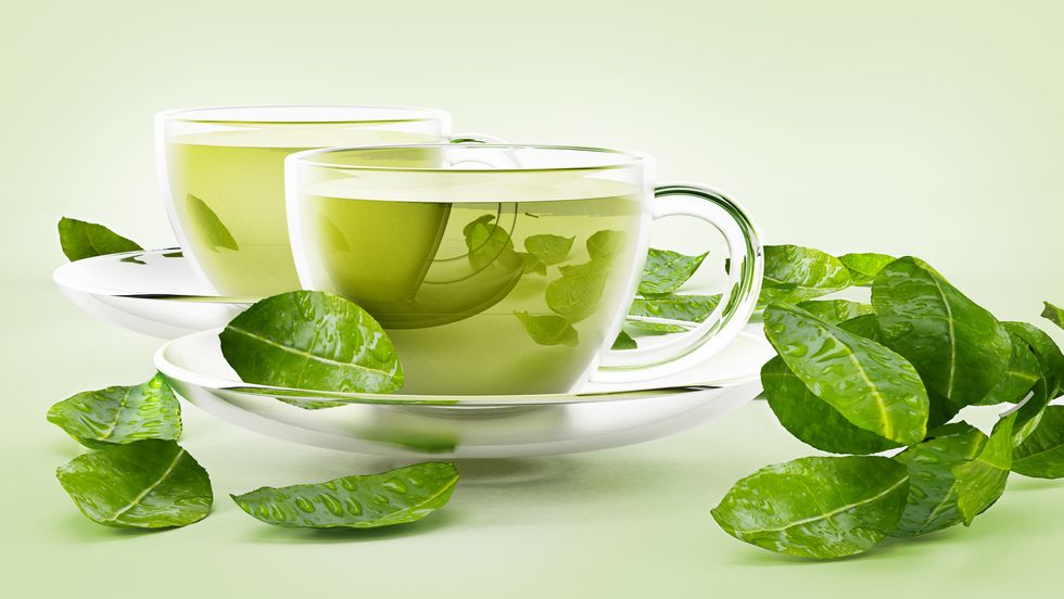 How To Lose Weight Fast Green Tea How To Lose Weight Fast Green Tea