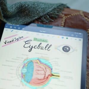Photo Hormone diagram