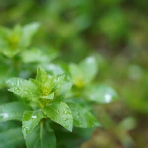 Photo Personalized plans