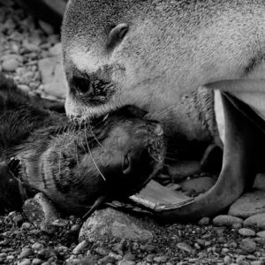 Photo Supportive environment