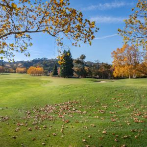 Photo Weight Loss Clinic